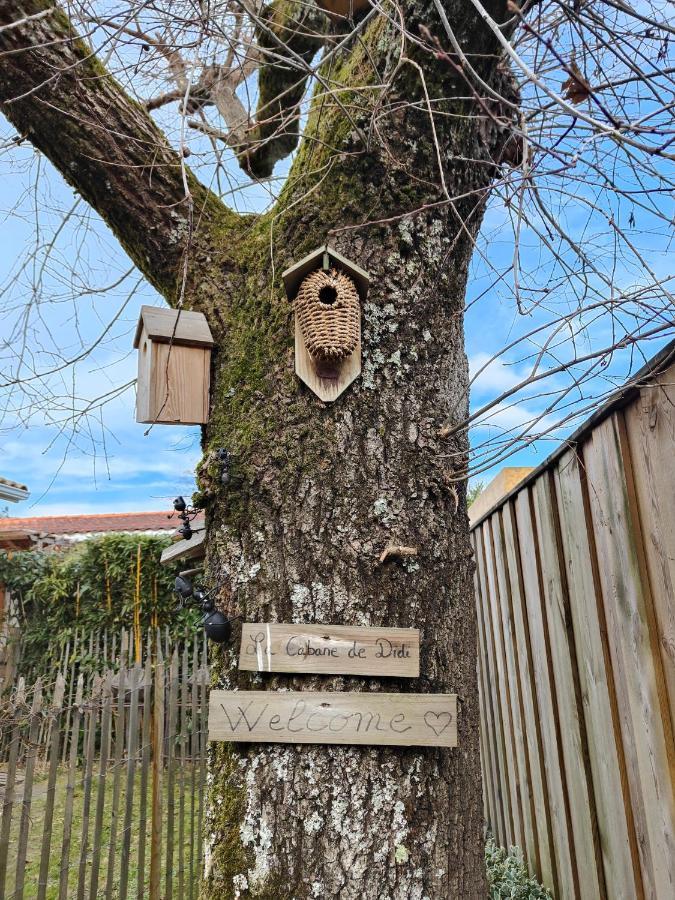 La Cabane De Didi Andernos-les-Bains Exteriér fotografie